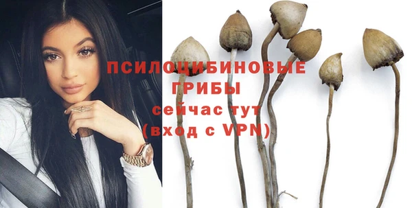 бошки Алексеевка