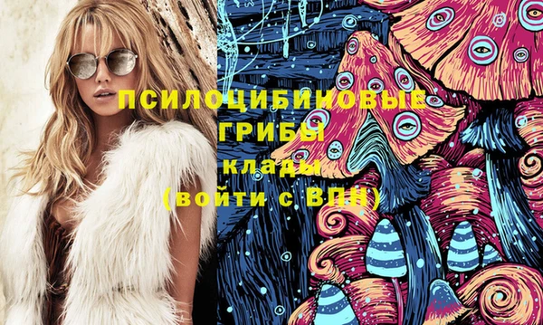 тгк Алексин