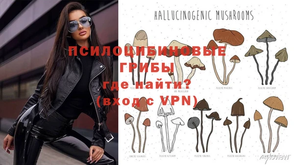 бошки Алексеевка